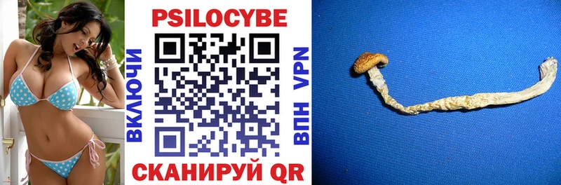 Купить закладки  Фурманов  Галлюциногенные грибы прущие грибы 