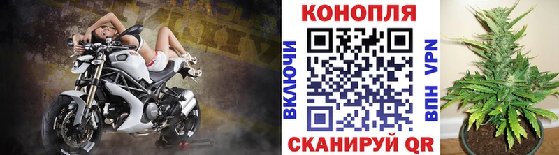 Канабис семена  Купить  Фурманов 